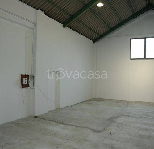 locale di sgombero in affitto a Carrara in zona Avenza