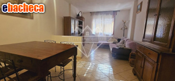 appartamento in affitto a Carrara