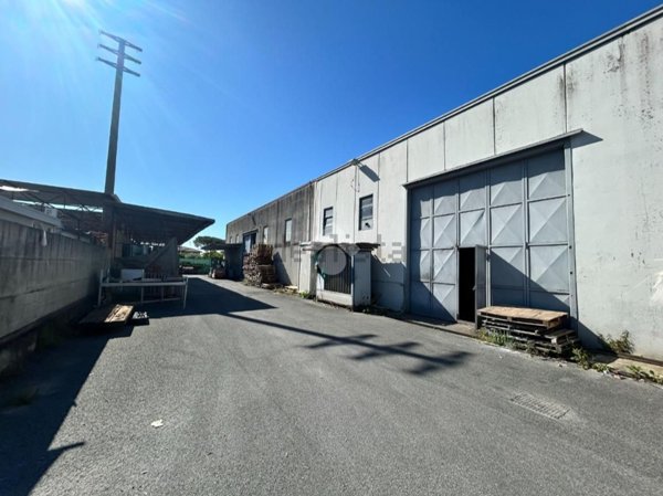 locale commerciale in affitto a Carrara in zona Avenza