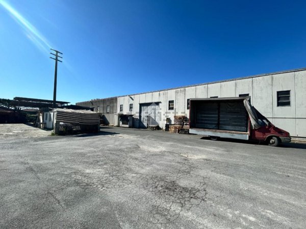 capannone in affitto a Carrara in zona Avenza