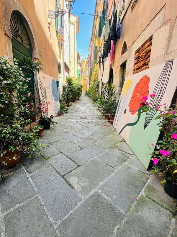 intera palazzina in affitto a Carrara in zona Centro Città