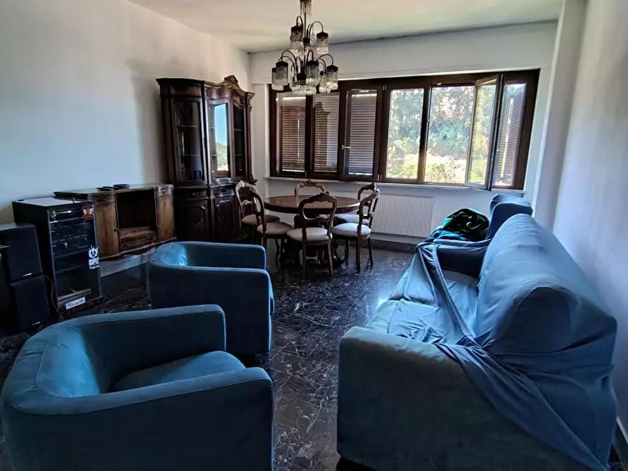 appartamento in affitto a Carrara