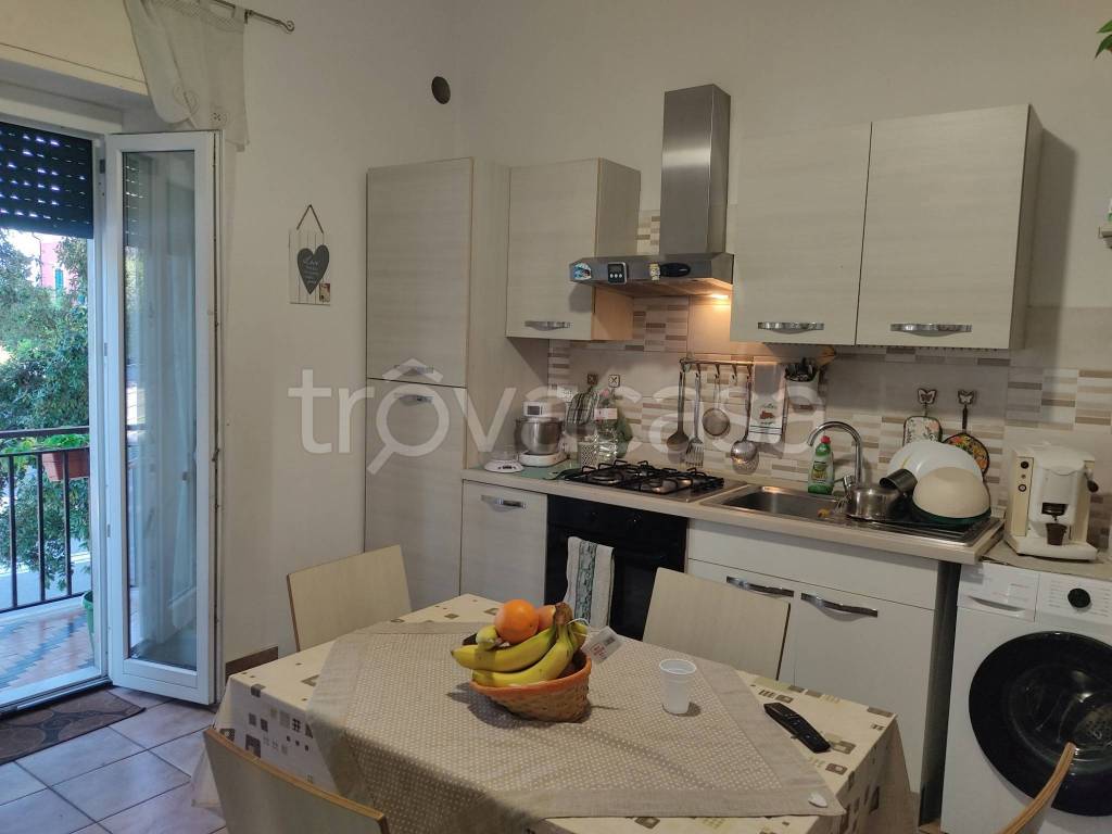 appartamento in affitto a Carrara