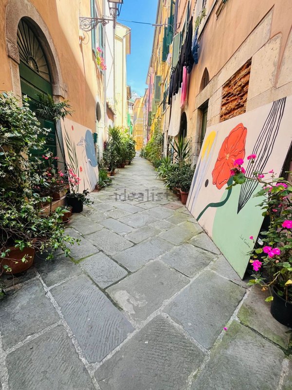 appartamento in affitto a Carrara