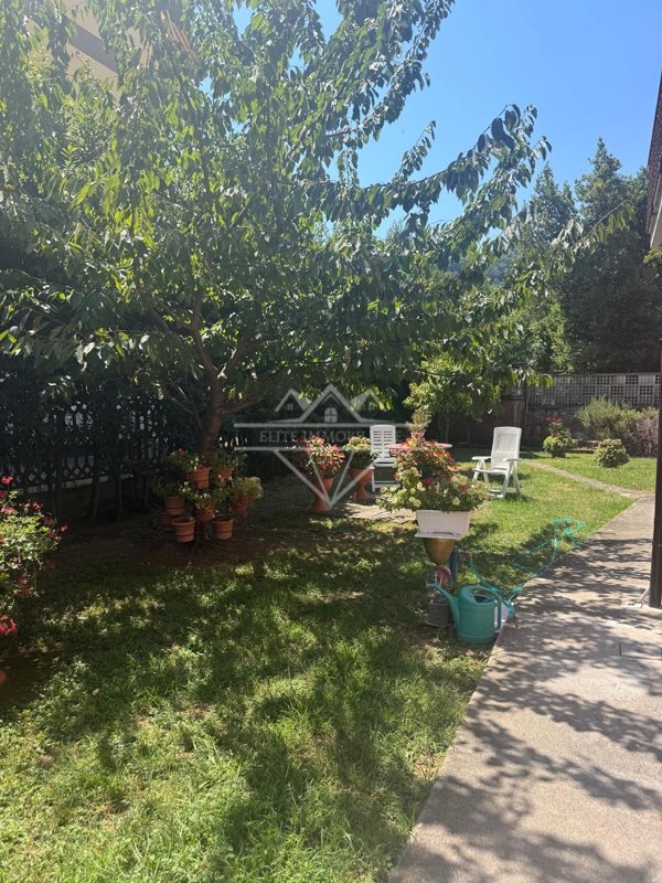 appartamento in affitto a Carrara in zona Stadio