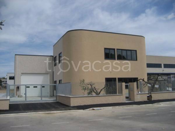 appartamento in affitto a Carrara in zona Avenza