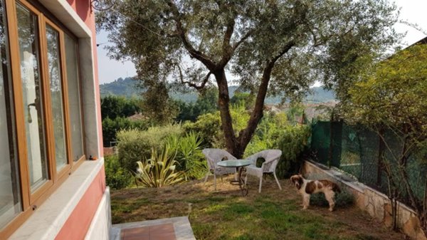 immagine annuncio 0 di 1