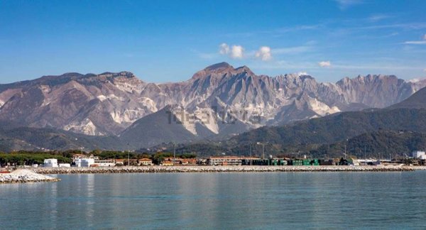 ufficio in affitto a Carrara in zona Nazzano