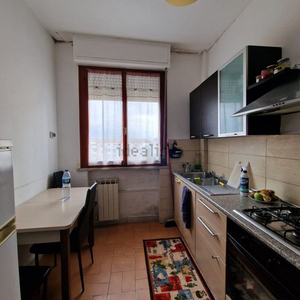 appartamento in affitto a Carrara