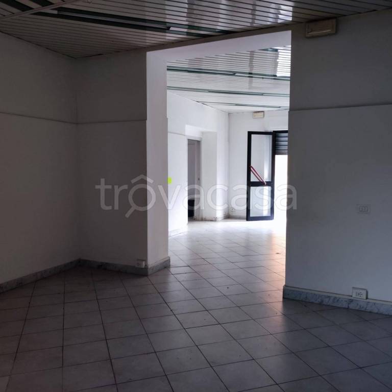 negozio in affitto a Carrara