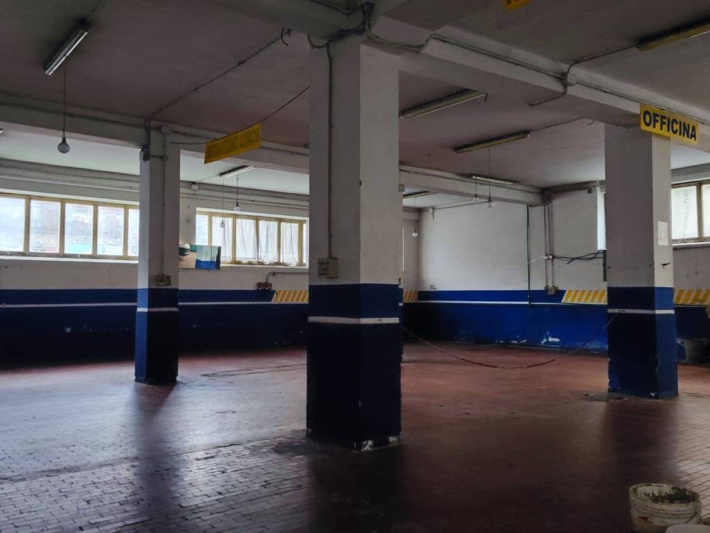 negozio in affitto a Carrara