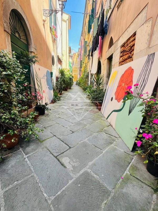 casa indipendente in affitto a Carrara in zona Centro Città