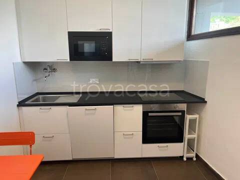 appartamento in affitto a Carrara in zona Stadio