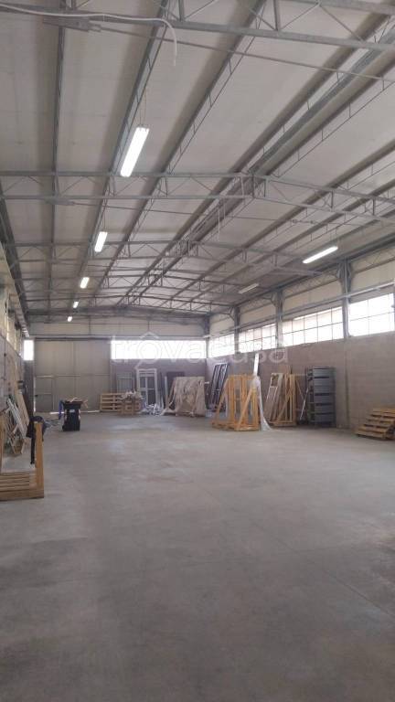 locale commerciale in affitto a Carrara in zona Avenza