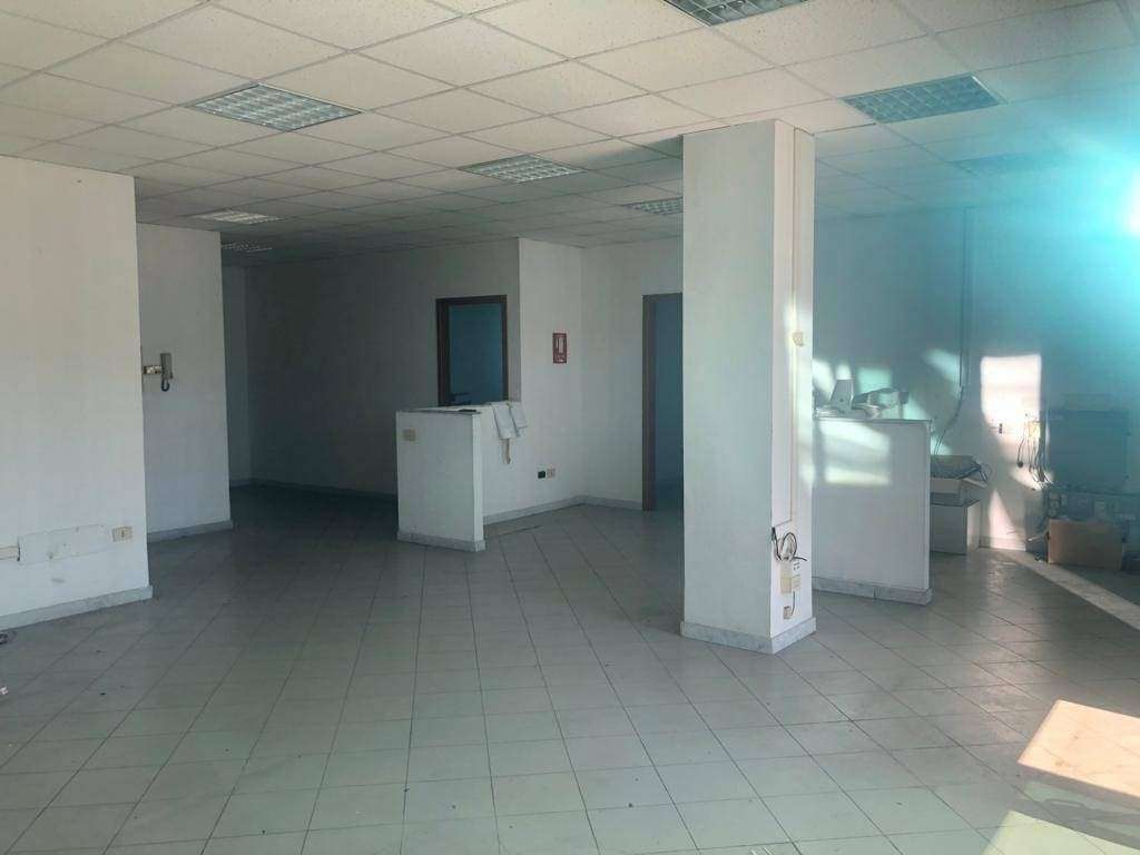 ufficio in affitto a Carrara in zona Bonascola