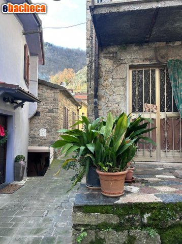 appartamento in affitto a Fivizzano