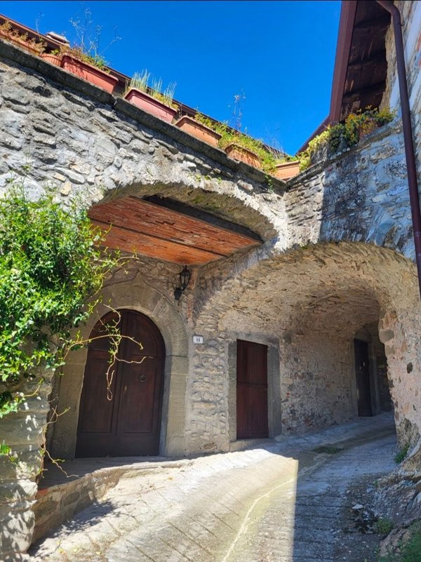 pentavano in affitto a Fivizzano in zona Turano