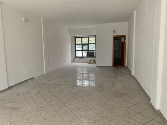 negozio in affitto a Massa