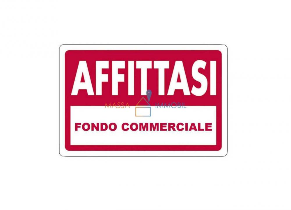 negozio in affitto a Massa in zona Centro Storico