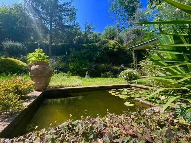 casa indipendente in affitto a Massa in zona Centro Storico