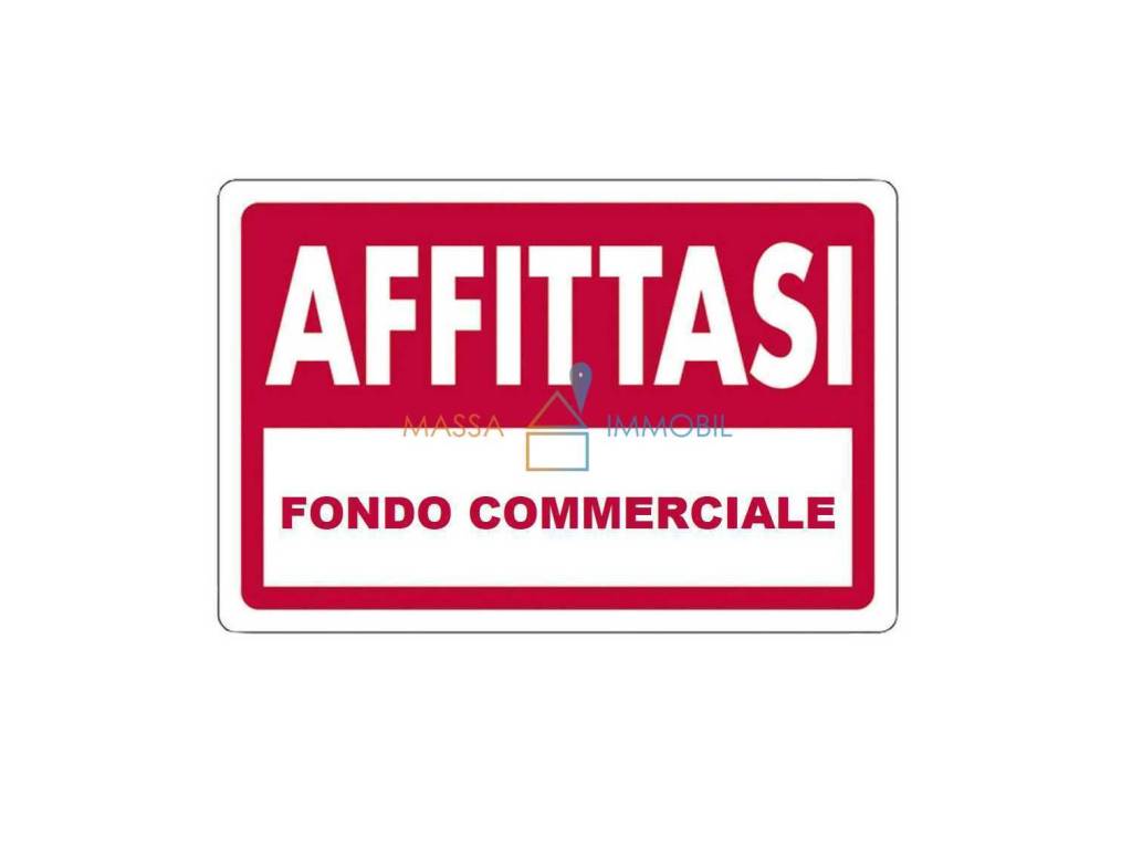 negozio in affitto a Massa in zona Marina di Massa