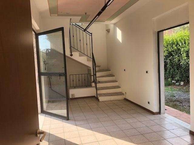 negozio in affitto a Massa