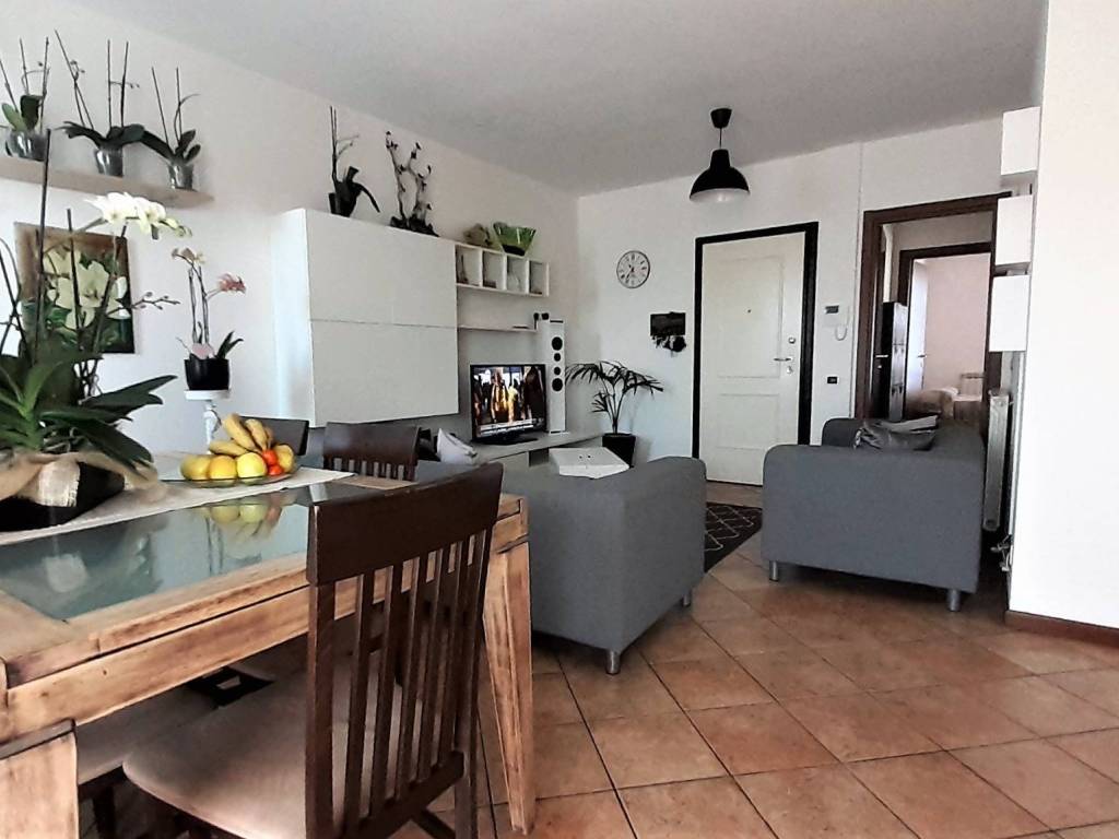 appartamento in affitto a Massa in zona Marina di Massa