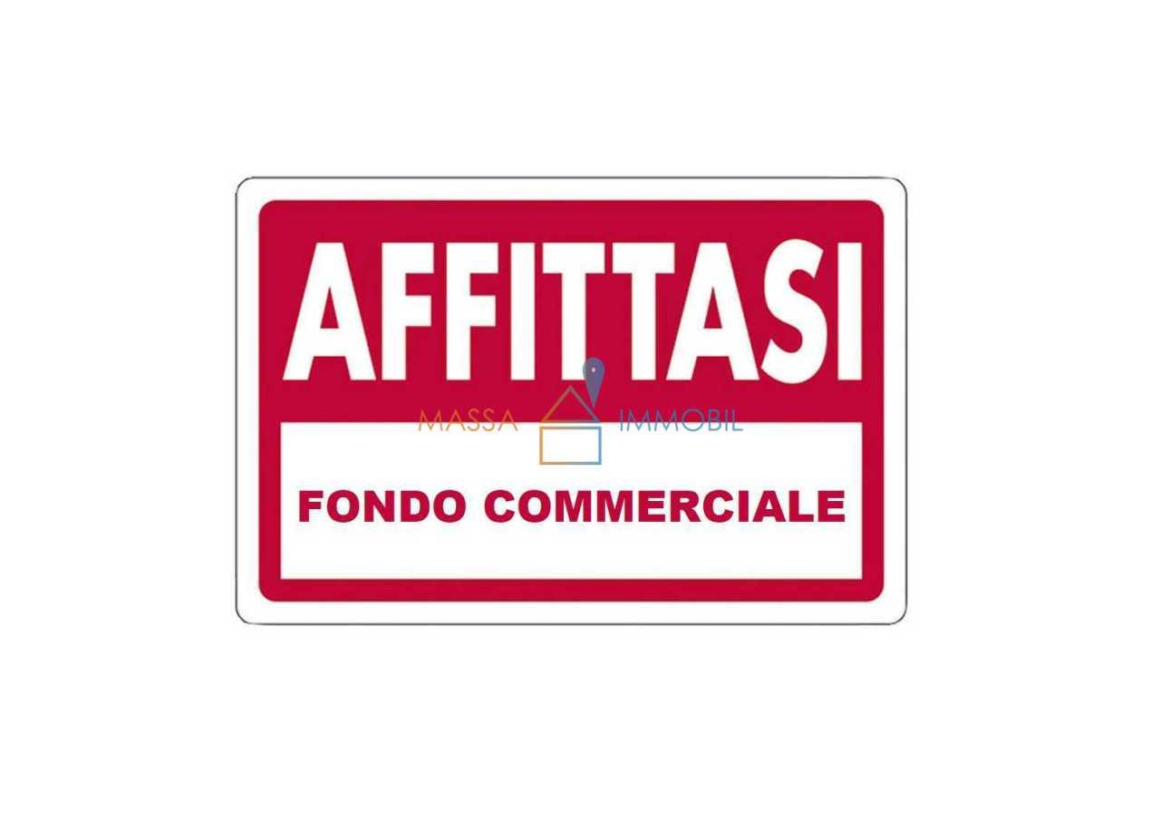 appartamento in affitto a Massa in zona Centro Storico