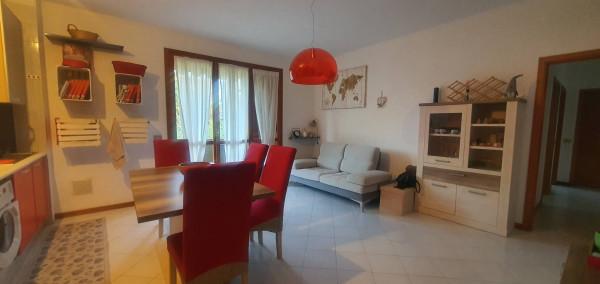 appartamento in affitto a Massa in zona Marina dei Ronchi