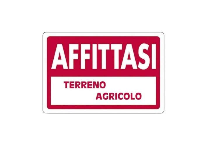 capannone in affitto a Massa