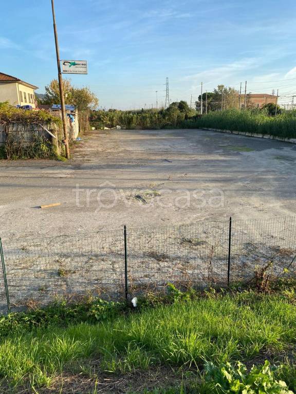 immagine annuncio 0 di 6