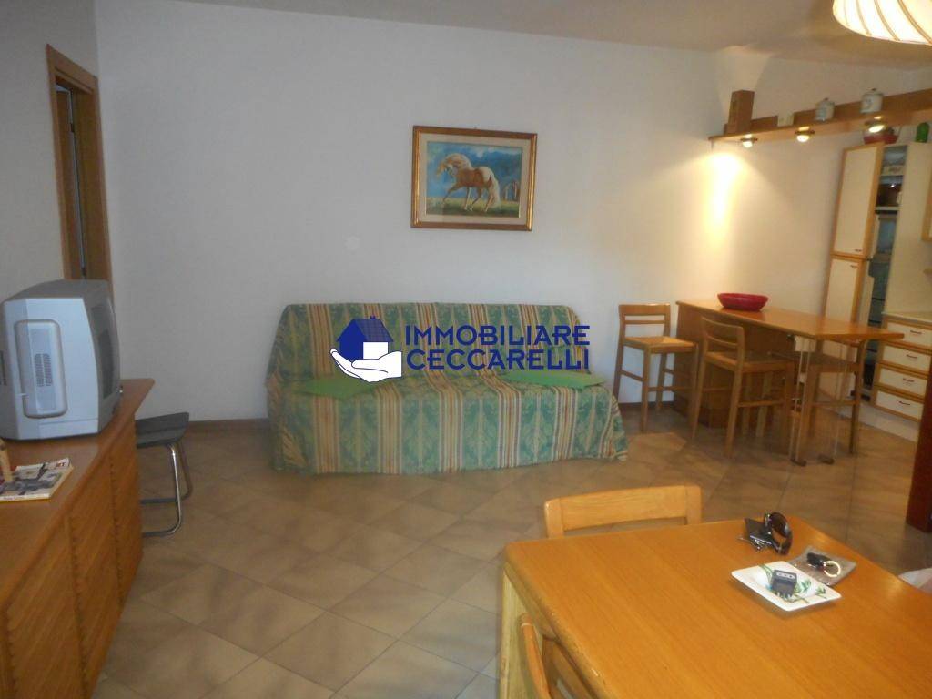 appartamento in affitto a Massa in zona Marina dei Ronchi
