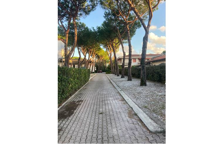 appartamento in affitto a Massa in zona Marina di Massa