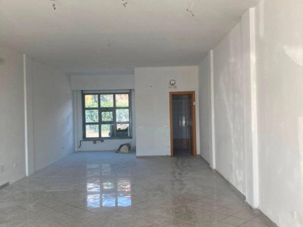 negozio in affitto a Massa