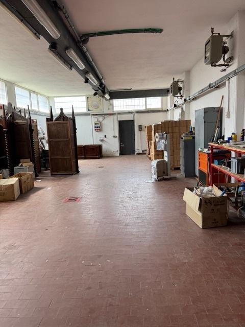 appartamento in affitto a Massa