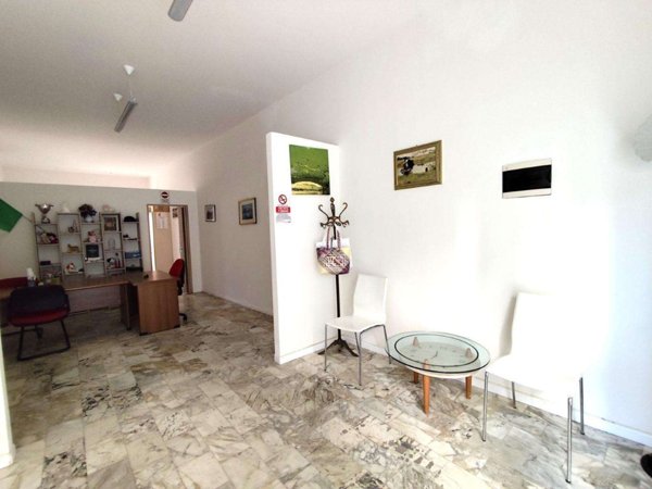 negozio in affitto a Massa in zona Borgo del Ponte