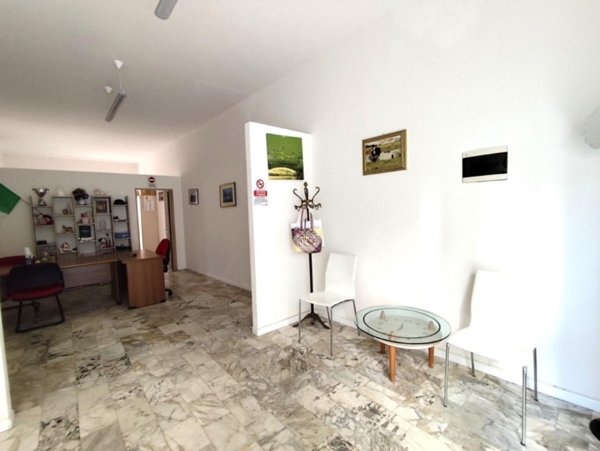 negozio in affitto a Massa in zona Borgo del Ponte