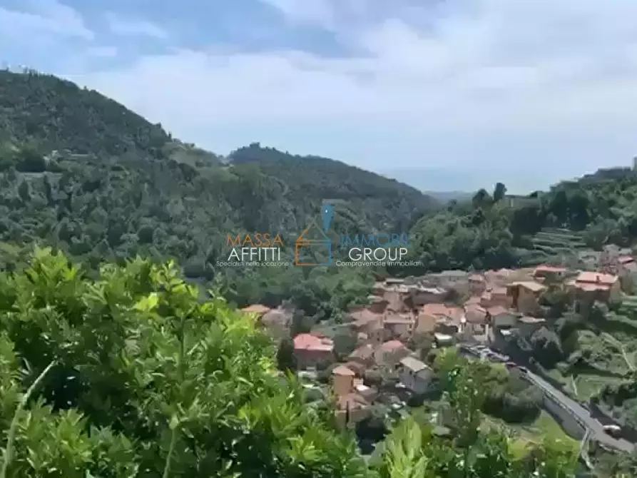 appartamento in affitto a Massa