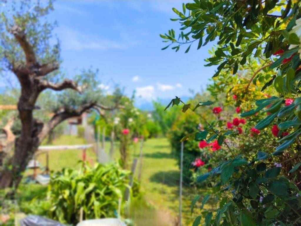 appartamento in affitto a Massa in zona Marina di Massa