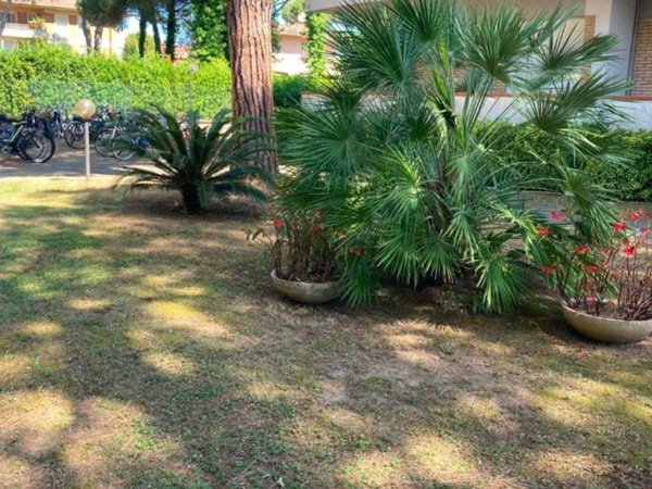 appartamento in affitto a Massa in zona Marina dei Ronchi