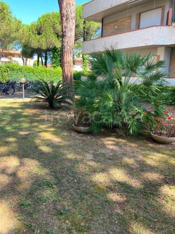 appartamento in affitto a Massa in zona Centro Storico