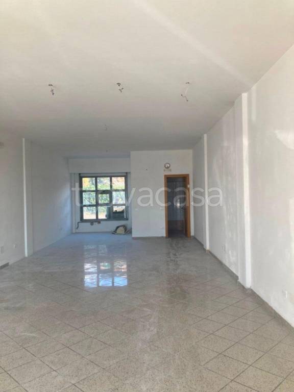 negozio in affitto a Massa in zona Centro Storico