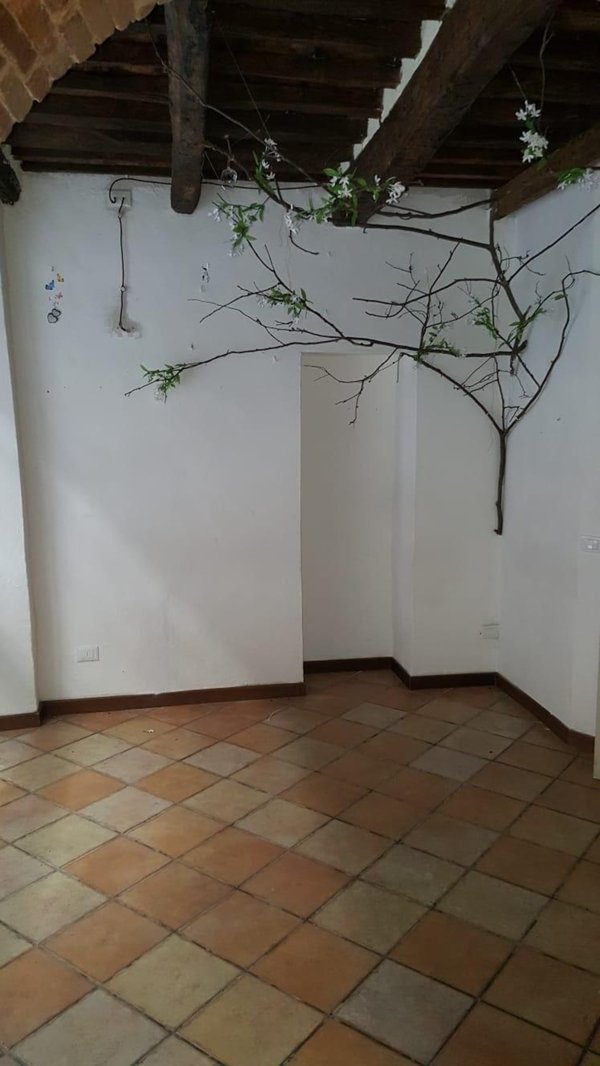 negozio in affitto a Massa in zona Centro Storico