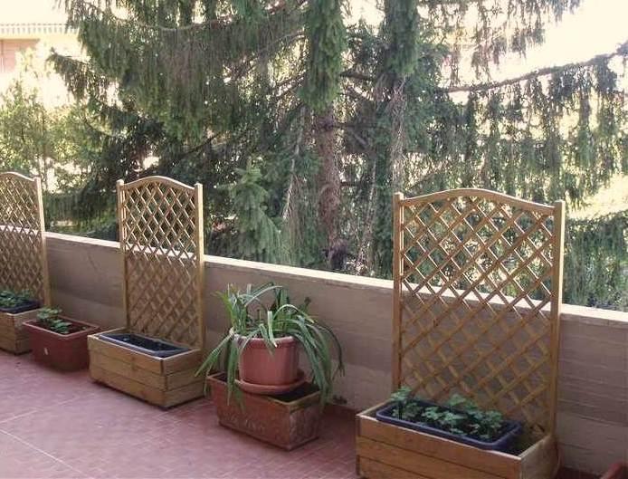 appartamento in affitto a Massa