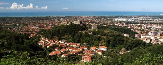 negozio in affitto a Massa