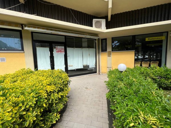 negozio in affitto a Massa in zona Marina dei Ronchi