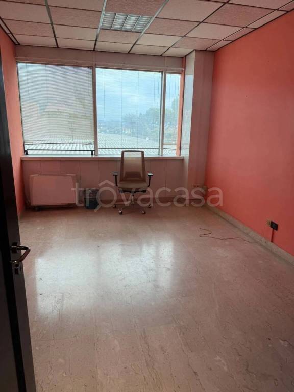 ufficio in affitto a Massa