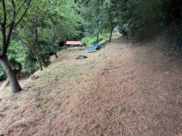 appartamento in affitto a Massa