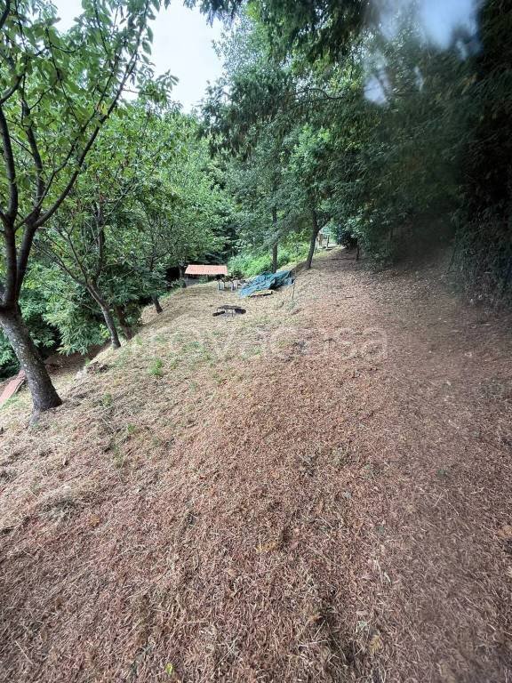 appartamento in affitto a Massa in zona Antona