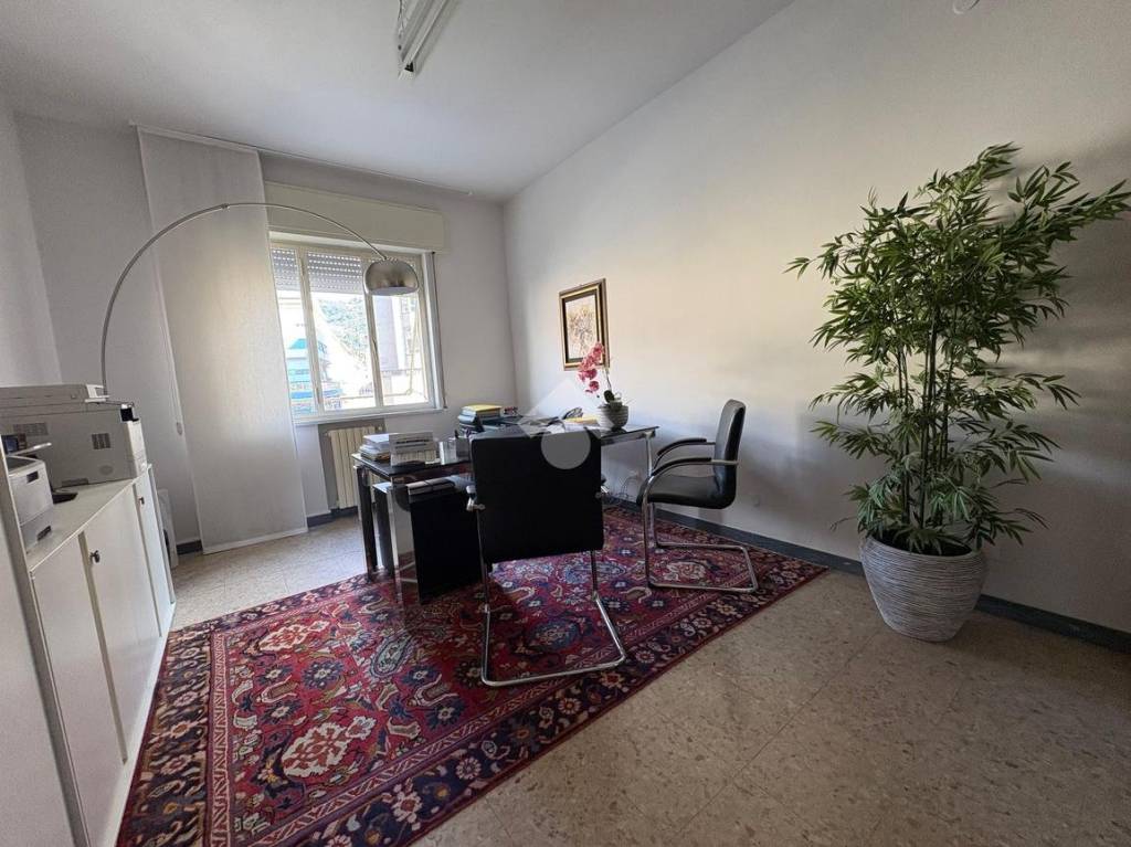 ufficio in affitto a Massa in zona Centro Storico